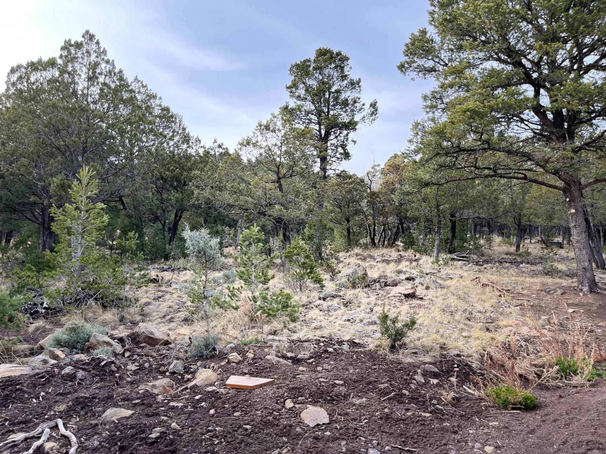 Thunder Hollow Ruidoso Luaran gambar